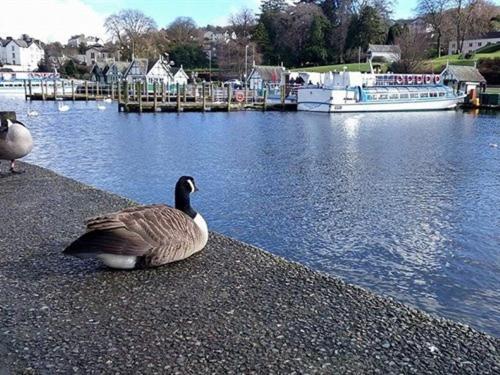 Holmlea Guest House Exclusively For Adults Windermere Dış mekan fotoğraf